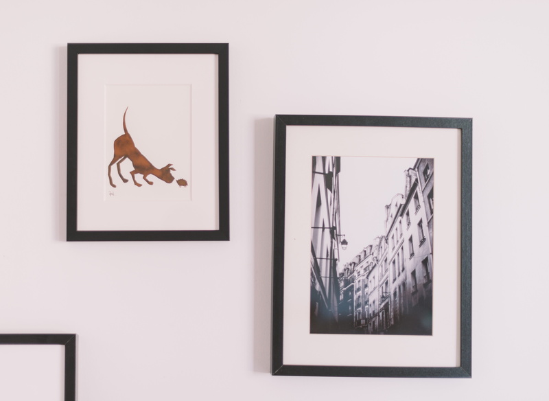photo, paintings, decoration, two, nature, creativity, picture, representation, copy space, wall - building feature, glass - material, 5K, no people, plant