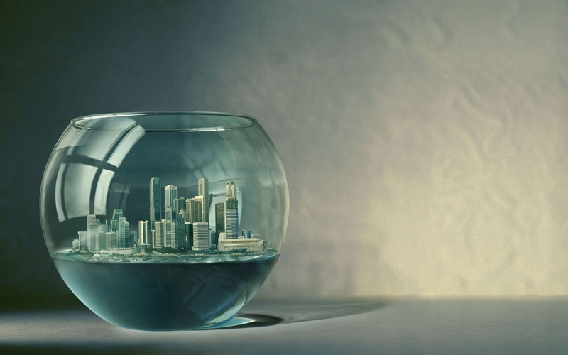 Platinum Conception s, Photoshop, 720P