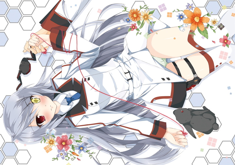 Infinite Stratos, white background, heterochromia, close-up, large group of objects, still life, pattern, no people, flowering plant, art and craft, decoration
