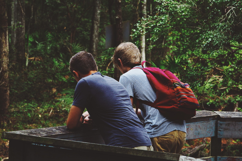 childhood, boys, woodland, friend, love, red, hiking, family, two People, togetherness, person, plant, real people, nature, boy, leaning, males, lifestyles