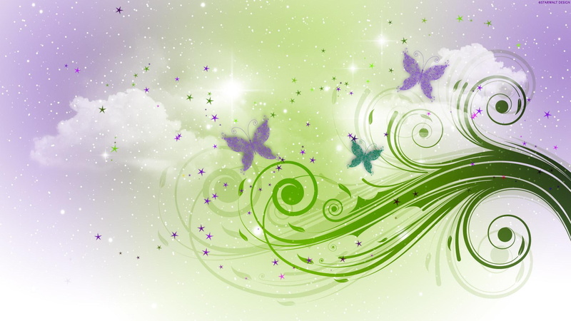 vector and designs, designs, butterfly, 1080P