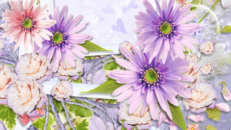 1080P, hearts, display, petals, soft, 3d and abstract, spring, floral, summer, daisy, pink roses, pastel, flower, lavender