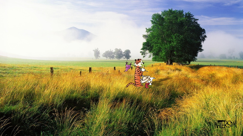 hd, calvin, hobbes, tree, grass, and, cartoon/comic, 1080P