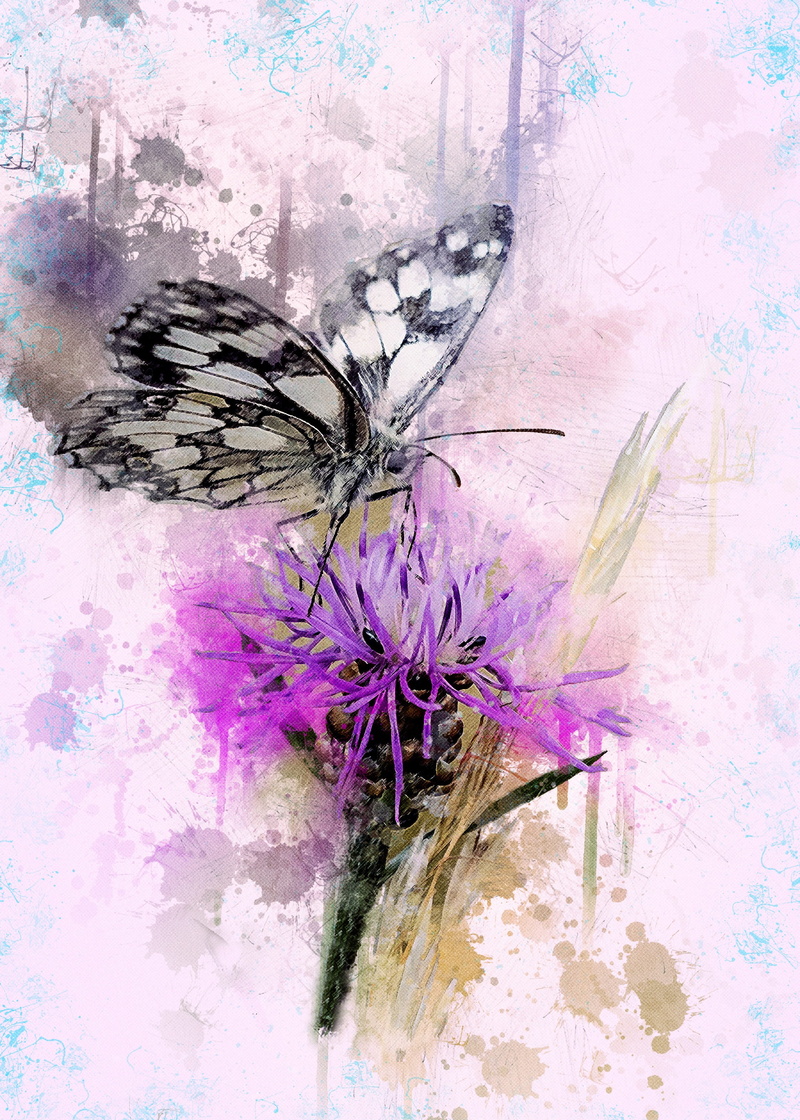 oil, natural lawn, flower head, digital composite, freshness, close, plant, animal themes, vulnerability, bloom, blossom, marbled, summer, chess board