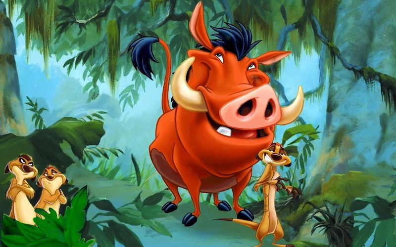 timon and pumbaa, 1080P