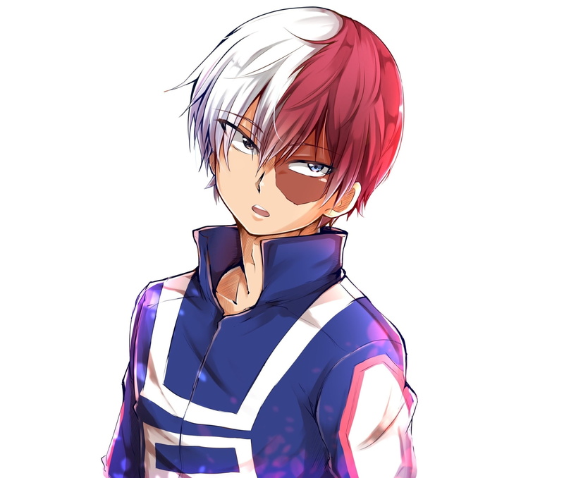 Anime, My Hero Academia, Shoto Todoroki, 1080P