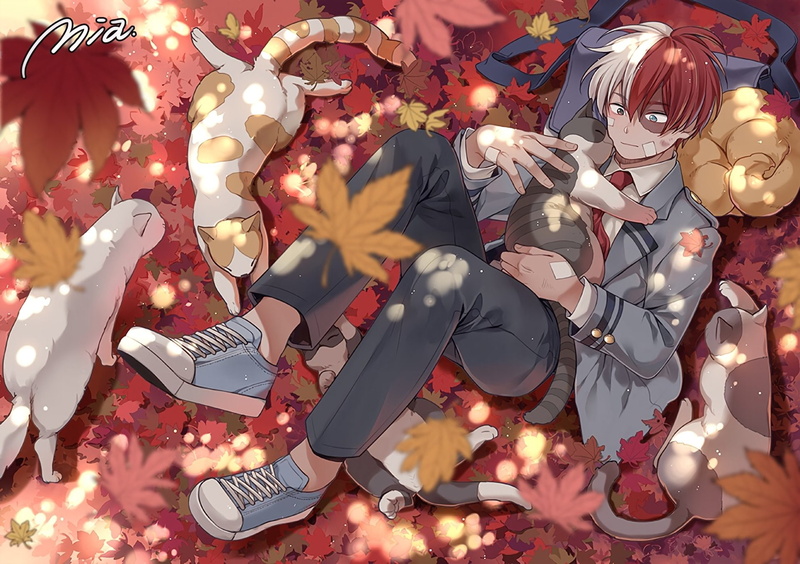 Anime, My Hero Academia, Shouto Todoroki, 1080P