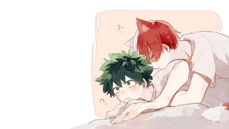 Izuku Midoriya, Shouto Todoroki, Anime, My Hero Academia, 1080P