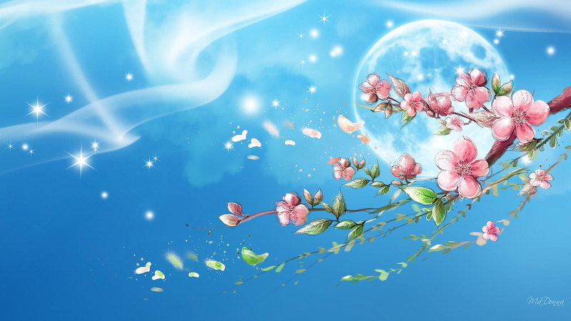 1080P, sakura, sky, cherry blossoms, petals, smoke, japan, blue, firefox persona, stars, 3d and abs, full moon