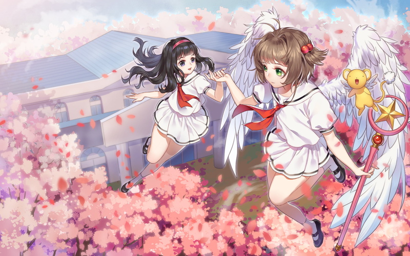 anime girls, miniskirt, flying, wings, Kinomoto Sakura, dark, Kerberos (Cardcaptor Sakura), Card Captor Sakura, 1080P, anime, brunette, Daidouji Tomoyo