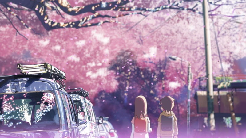 concert, flower, boy, transparent, 1080P, outdoors, plant, close-up, cherry tree, day, focus on foreground, girl, tree, celebration, real people, japan