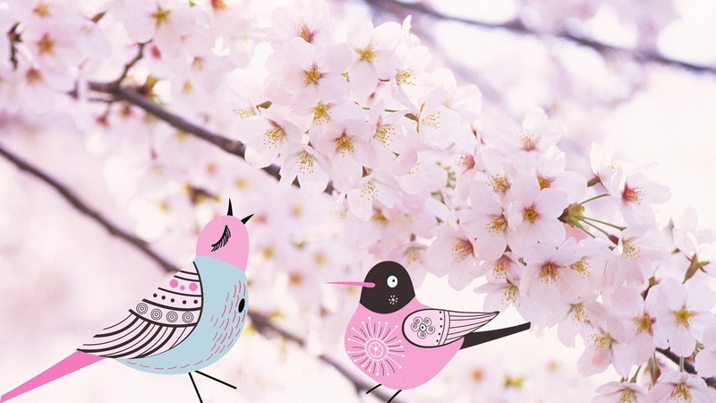 1080P, cherry, spring, japan, birds, firefox persona, blossoms, sakura, tree, 3d and abstr, pink, blurred