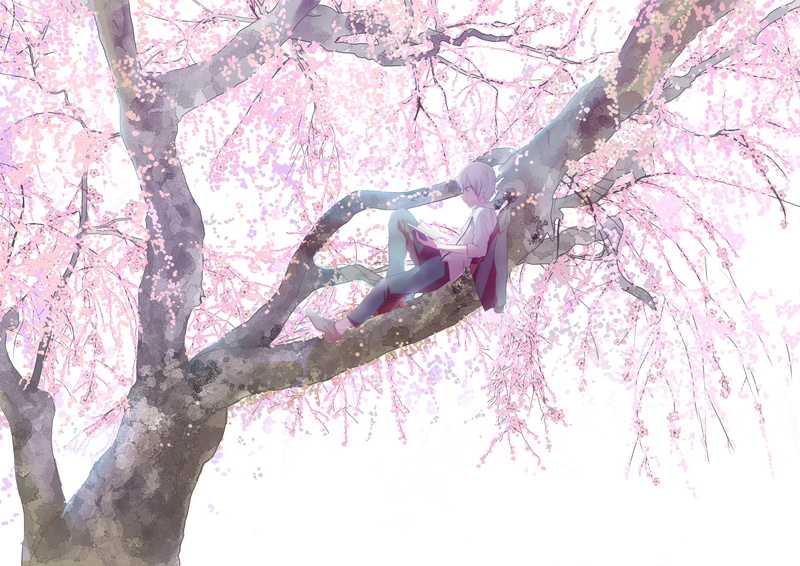 flowering, boy, reading a book, branches, on the tree, stay, Sakura, spring, big tree, 1080P