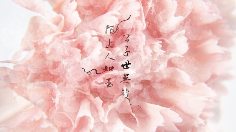 bouquet, flowering plant, flower arrangement, cherry blossom, botany, 1080P, bunch of flowers, positive emotion, no people, indoors, freshness, flower