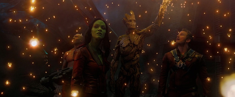 Guardians of the Galaxy, Movie, Zoe Saldana, 1080P, Dave Bautista, Gamora, Groot, Drax The Destroyer, Chris Pratt, Peter Quill