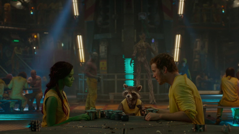 adult, Zoe Saldana, leisure activity, one animal, Rocket Raccoon, sitting, women, people, Chris Pratt, Movie, real people, pets, indoors, young adult, focus on foreground