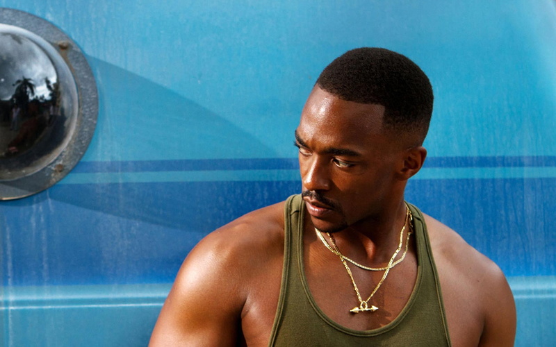 1080P, Movie, Pain and Gain, Anthony Mackie, Adrian Doorbal