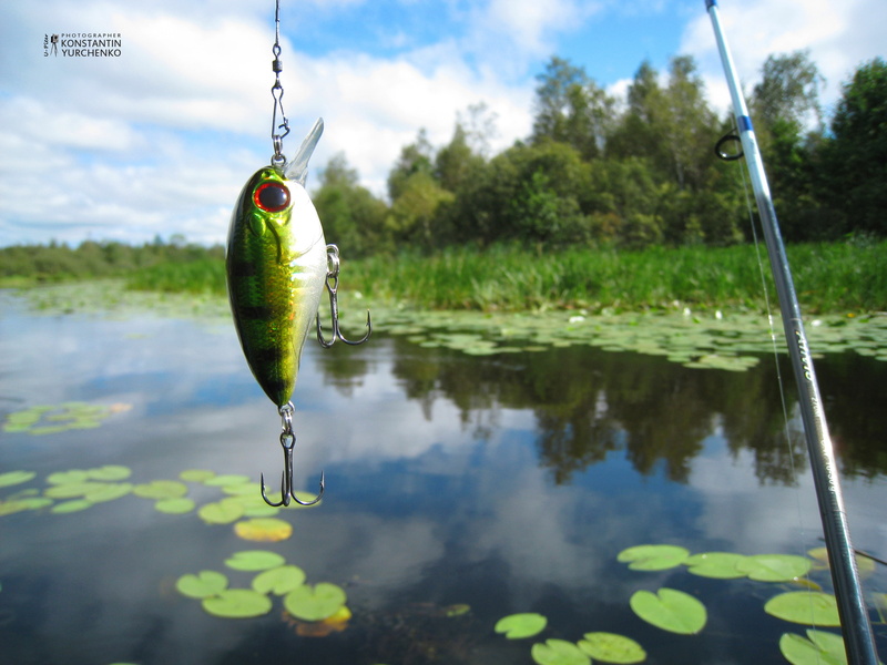 fishing industry, the sky, fishing Tackle, summer, fish, one animal, catch of Fish, water, baubles, day, hanging, sport, fly-fishing, catching, sports And Fitness