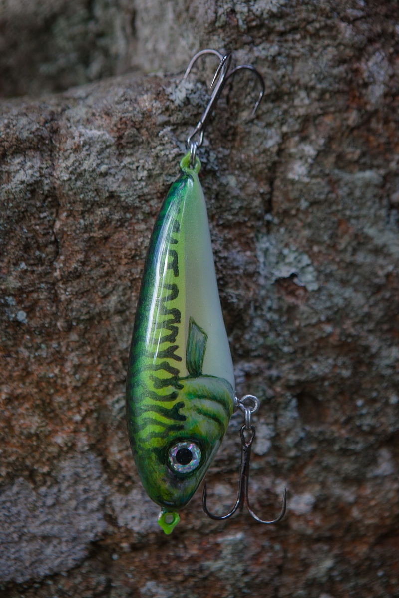 one animal, freshwater Fishing, 1080P, jerkbait, fishing Bait, rock, focus on foreground, fishing, animal antenna, rock - object, fishing Hook, fishing lures