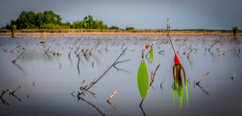 water, plant, body, fish, food, scenics - nature, spinner bait, lake, fishing, jezero joca, joca lake, reflection, day, tranquility, fishing lure, environment