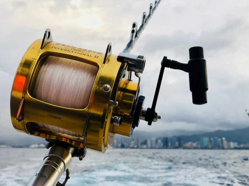 angler, bait, nature, land, action, equipment, mountain, water, leisure, line, sea, deep sea, industry, brown, ocean, outdoors, architecture, no people