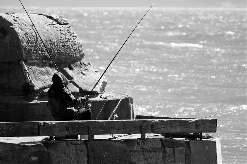 fishing industry, day, fishing rods, man, transportation, Hobby, Occupation, bait, catch, white, black, activity, wood - material, 1080P, leisure activity