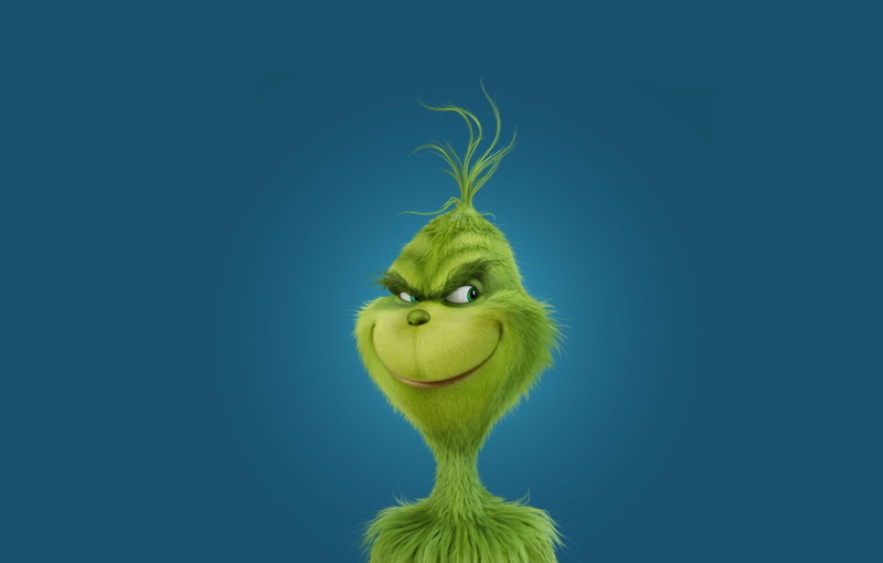 how the grinch stole christmas pictures to download, studio shot, cat, indoors, mammal, whisker, copy space, colored background, no people, domestic animals