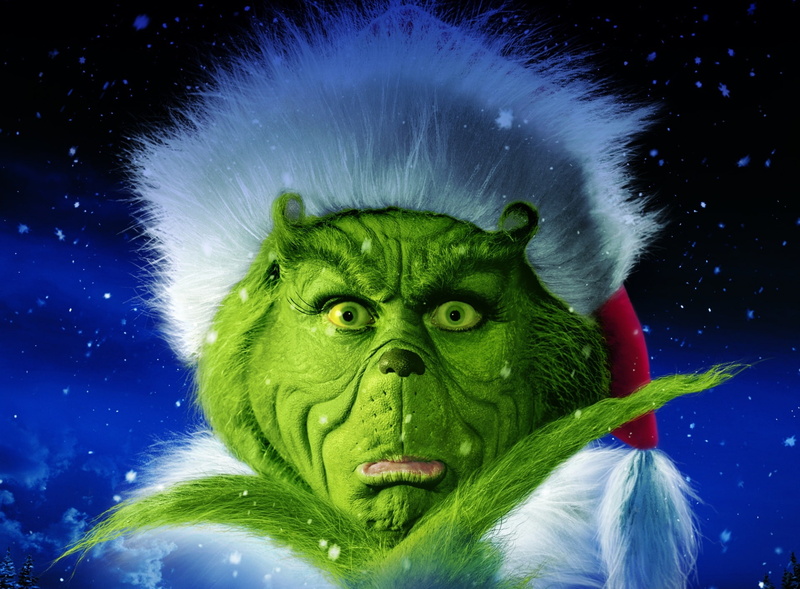 animal body part, whisker, one animal, looking, seuss, green color, nature, mammal, stole, grinch, vertebrate, 1080P, outdoors, Dr. Seuss, looking at camera
