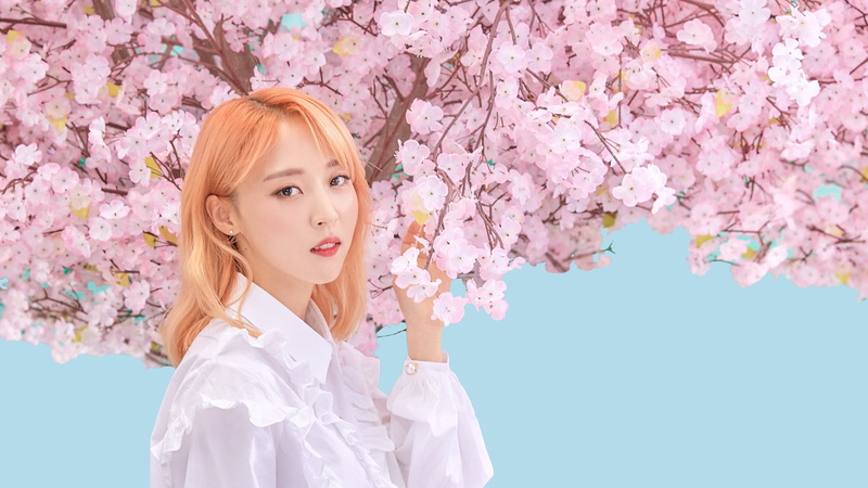 1080P, beauty, hairstyle, flowering plant, Mamamoo, outdoors, plant, blossom, cherry blossom, hair, cherry tree, young women, flower, beautiful woman
