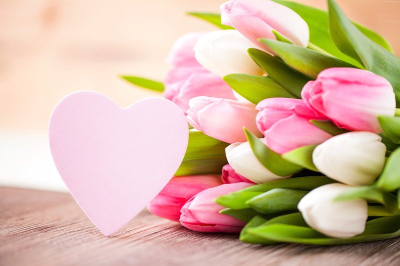 hearts, Valentines Day, love, tulips, 5K, flowers