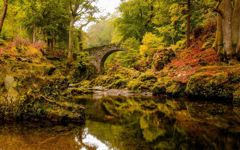 1080P, pc backgrounds hd nature  1920x1200
