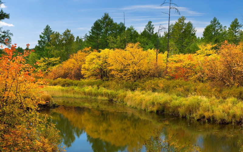 1080P, pc backgrounds hd nature  1920x1200