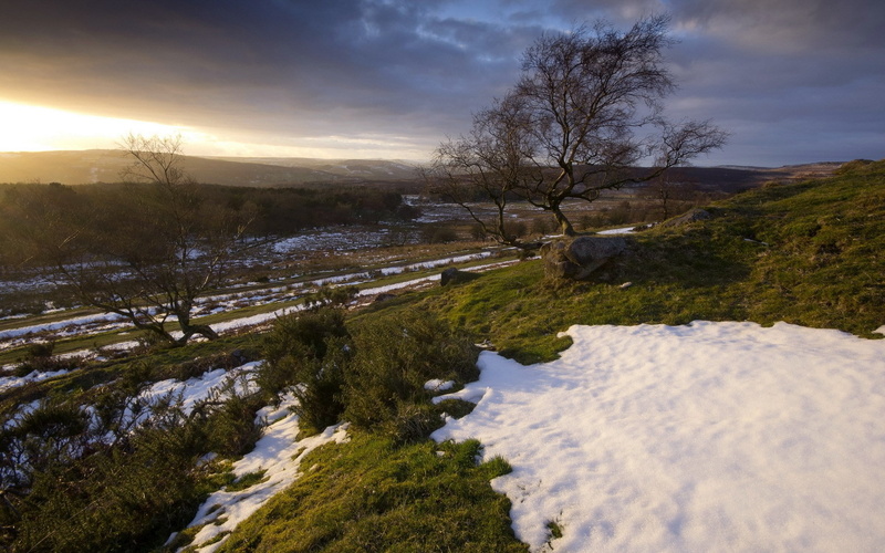 tranquil scene, beauty in nature, winter, snow, tree, plant, non-urban scene, stream - flowing water, nature, cold temperature, outdoors, 1080P, scenics - nature