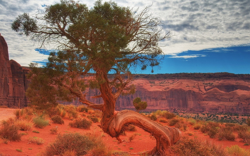 pc backgrounds hd nature  1920x1200, 1080P