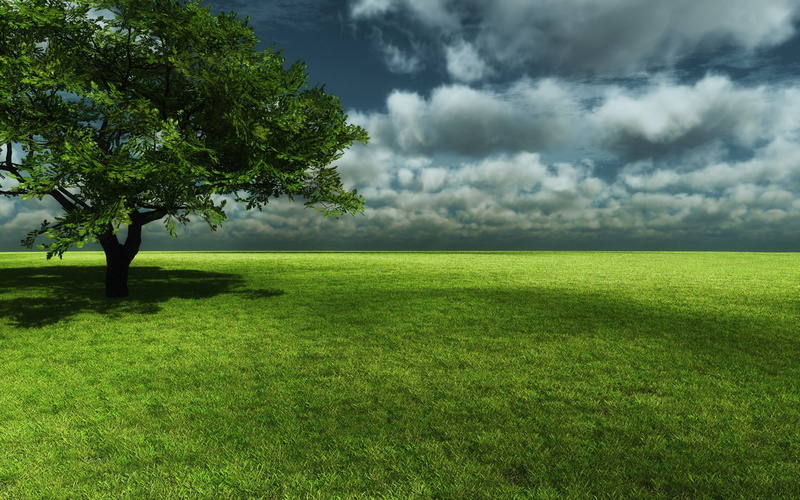1080P, computer  desktop background hd nature pics 1920x1200