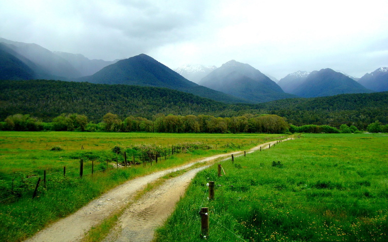 field, no people, 1080P, mountain, plant, tranquility, nature, grass, environment, land, direction, outdoors, sky, scenics - nature, the way forward, computer  desktop background hd nature  1920x1200