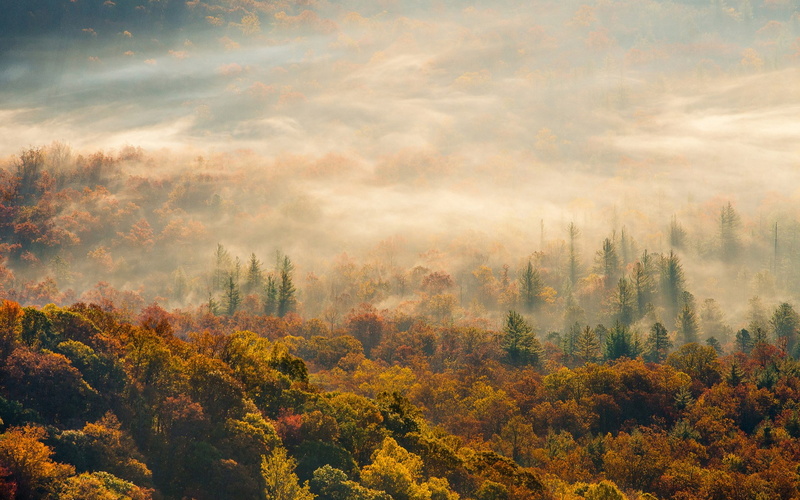 1080P, computer  desktop background hd nature  1920x1200