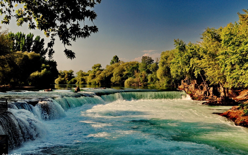 plant, river, growth, flowing, water, nature, day, clear sky, power in nature, waterfront, scenics - nature, flowing water, beauty in nature, no people