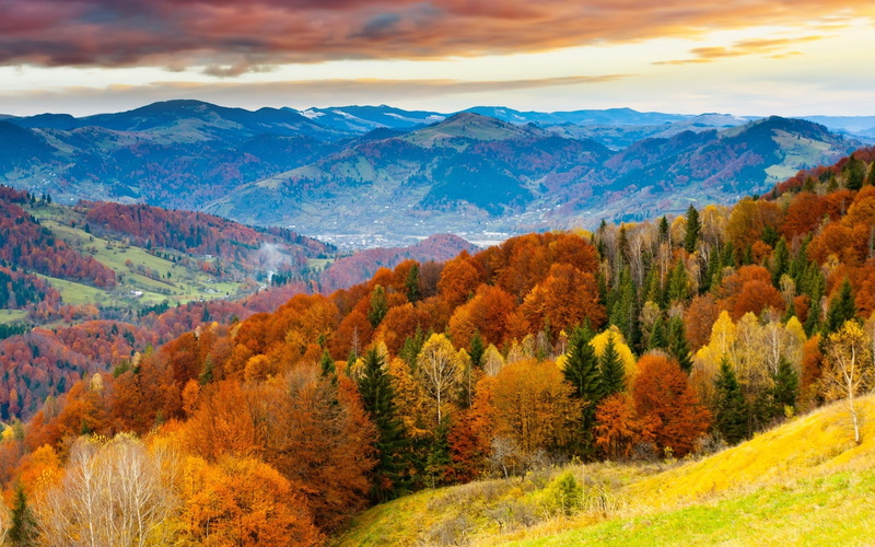 1080P, desktop backgrounds hd nature background 1920x1200