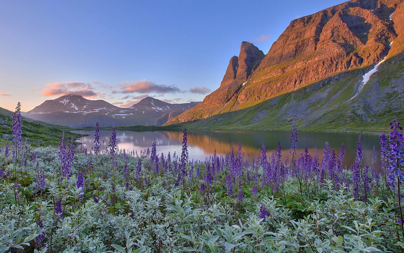 flowering plant, scenics - nature, beauty in nature, sky, flower, 1080P, plant, formation, tranquility, landscape, no people, day, reflection, lake, mountain range