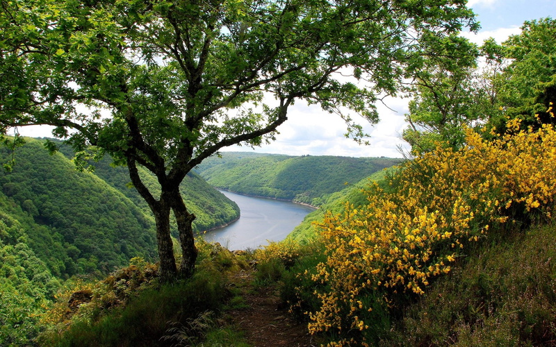 computer desktop backgrounds hd nature 1920x1200, 1080P