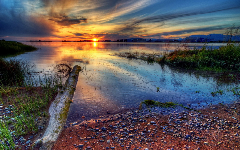 idyllic, sea, beach, cloud - sky, no people, tranquility, plant, reflection, non-urban scene, computer desktop backgrounds hd nature 1920x1200, environment
