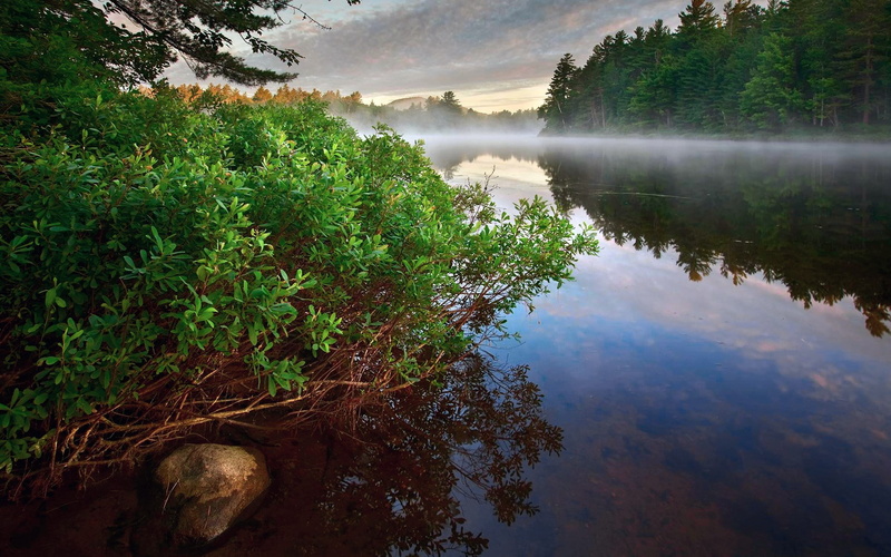 1080P, computer  desktop background hd nature  1920x1200