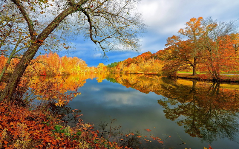 full hd 1080p nature  desktop backgrounds hd 1920x1200, 1080P