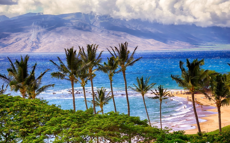 sky, tranquility, palm tree, beach, land, no people, tranquil scene, sea, day, beauty in nature, computer  desktop background hd nature  1920x1200, non-urban scene