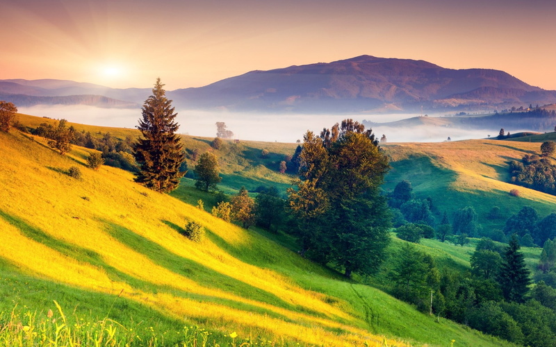 field, rolling landscape, environment, plant, outdoors, grass, tranquility, idyllic, tranquil scene, 1080P, no people, beauty in nature, sunlight, mountain range