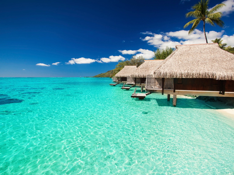 vacations, idyllic, luxury, no people, concrete, thatched roof, land, house, tahiti, outdoors, tree, beauty in nature, sky, tranquil scene, water, nature