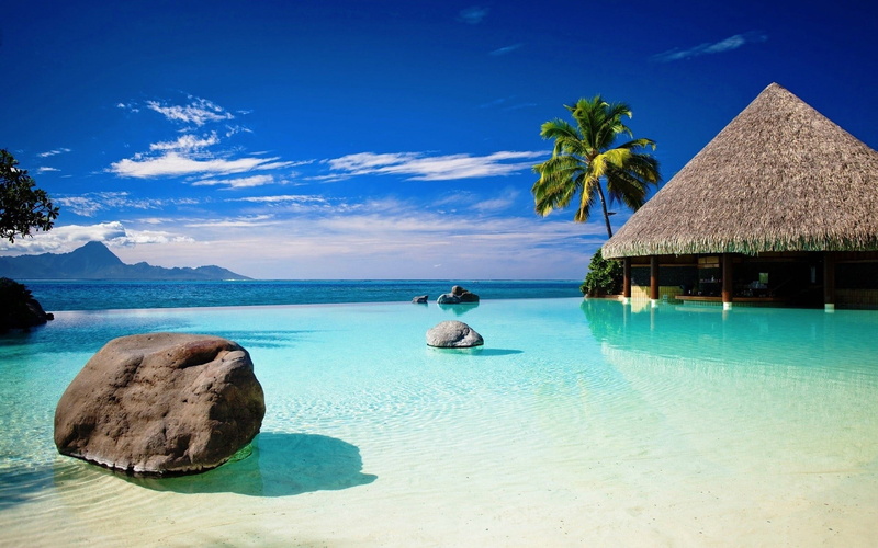 palm tree, beauty in nature, luxury, trip, tropical, palm trees, sea, tree, blue, building, land, stones, vacations, brown, holiday, turquoise colored