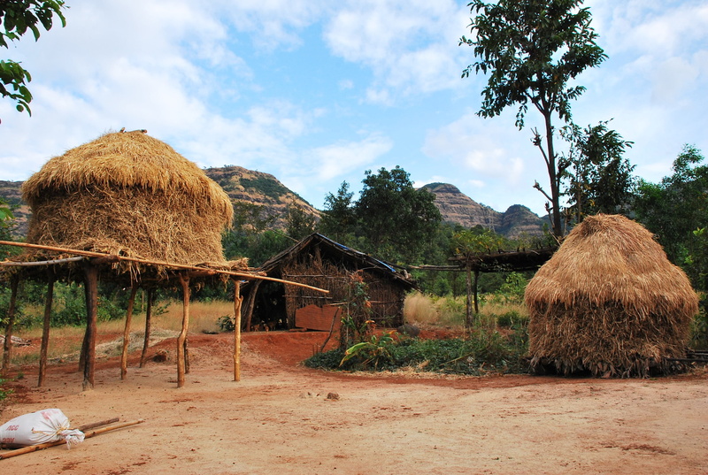 young, house, Hut, thatched roof, Lifestyle, bale, built structure, farm, no people, rural scene, people, Rural, field, growth, cloud - sky, sky, 2K, poor