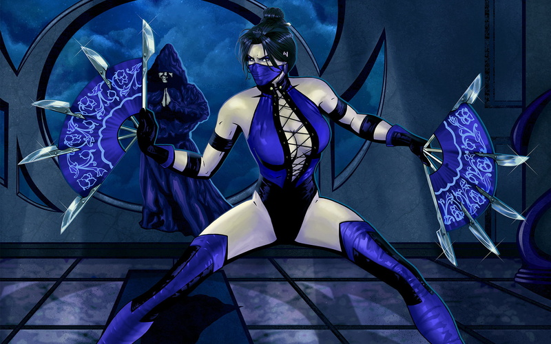 clothing, kitana, mask, fan, women, stage, mortal kombat, front view, adult, indoors, representation, performance, the Human Body, science, high angle view